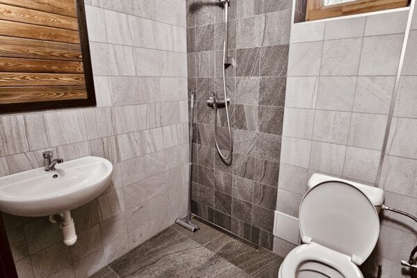 C419889C-6653-400B-B794-D0081DFA6118_1_201_a